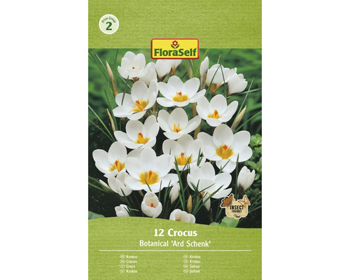 FLORASELF Bloembollen Krokus Crocus 10 Stuks