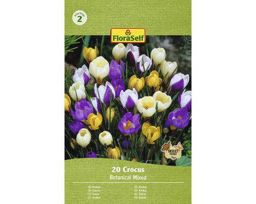 FLORASELF Bloembollen Krokus Crocus 10 Stuks