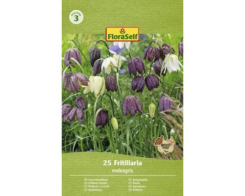 FLORASELF Bloembollen Kievitsbloem Fritillaria 1 Stuks