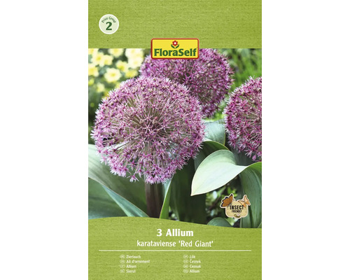 FLORASELF Bloembollen Sierui Allium 20 Stuks