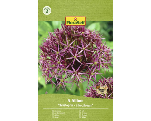 FLORASELF Bloembollen Sierui Allium 3 Stuks