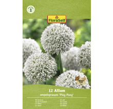 Verpakking sierui Allium ampeloprasum ''Ping Pong''