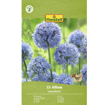 FloraSelf Sierui ''caeruleum'' verpakking met Insectvriendelijk keurmerk