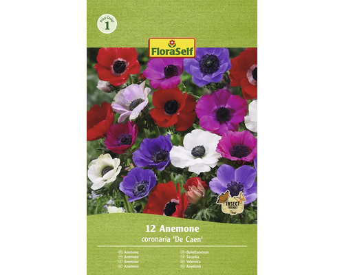 FLORASELF Bloembollen Anemoon Anemone 20 Stuks