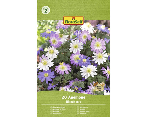 FLORASELF Bloembollen Bosanemoon Anemone 20 Stuks