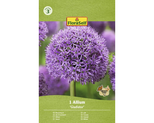 FLORASELF Bloembollen Sierui Allium 15 Stuks