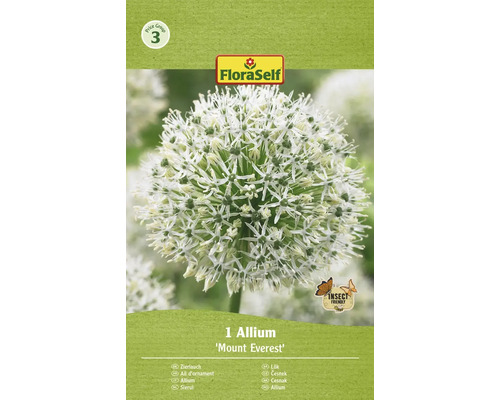 FLORASELF Bloembollen Sierui Allium 1 Stuks