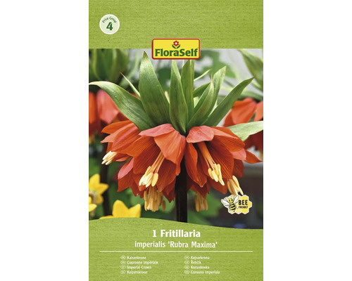 FLORASELF Bloembollen Keizerskroon Fritillaria 1 Stuks