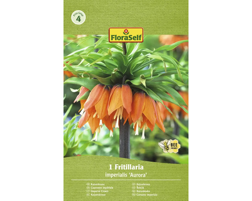 FLORASELF Bloembollen Keizerskroon Fritillaria 5 Stuks