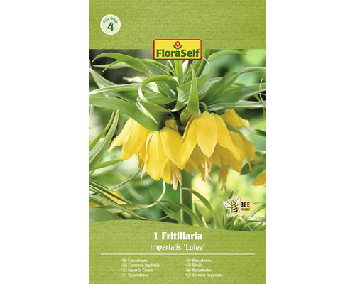 FLORASELF Bloembollen Keizerskroon Fritillaria 1 Stuks