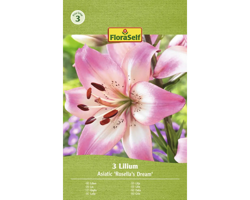 FLORASELF Bloembollen Lelie Lilium 15 Stuks