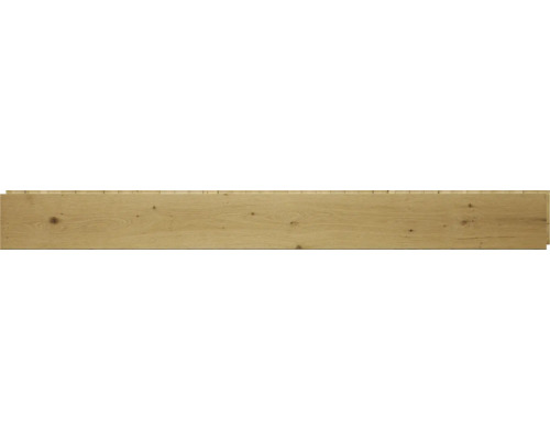 Houten plank van eikenhout met noesten