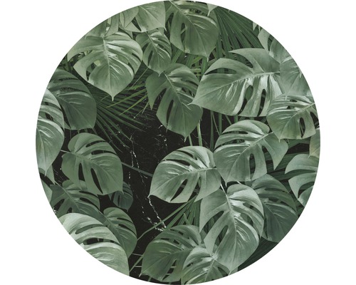 KOMAR Muursticker Dot D1-023 Novel Monstera ø 125 cm KOMAR Muursticker Dot D1-023 Novel Monstera ø 125 cm