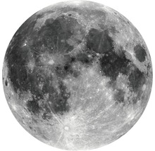 Gedetailleerde foto van de maan met kraters