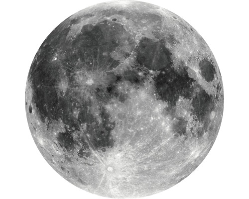 KOMAR Muursticker Dot D1-019 Moon ø 125 cm