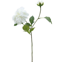 Decoratieve dahlia met bloemen en bladeren