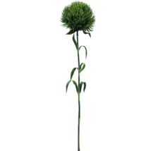 Kunstmatige anjer met groene bloemen