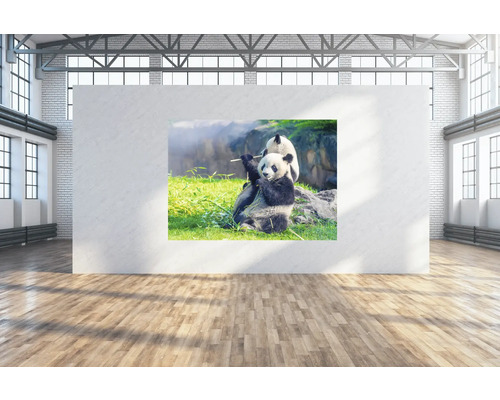 SPECIAL DECORATION Wanddoek Panda's 224x160 cm