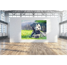 SPECIAL DECORATION Wanddoek Panda's 250x190 cm