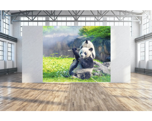 SPECIAL DECORATION Wanddoek Panda's 300x250 cm