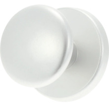 AMI Voordeurknop bol Ø 160/60 mm aluminium F1 zwart