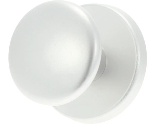 AMI Voordeurknop bol Ø 160/60 mm aluminium F1 zwart