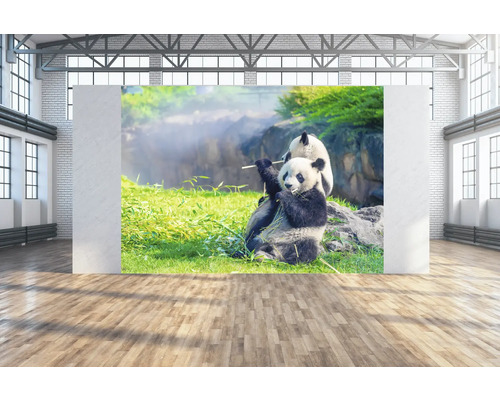 SPECIAL DECORATION Wanddoek Panda's 350x250 cm