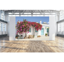 Fotobehang met een mediterrane tuin en een huis