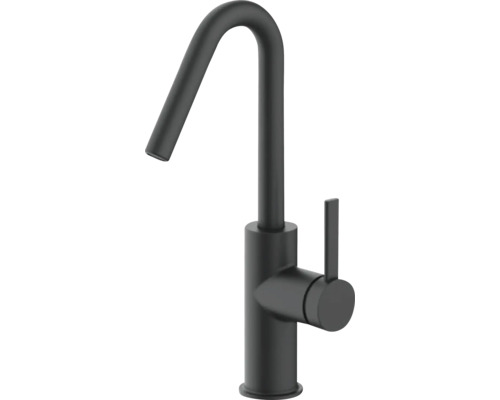 AVITAL Wastafelkraan Alamana eco zwart Spoelbakmengkraan met hoge uitloop