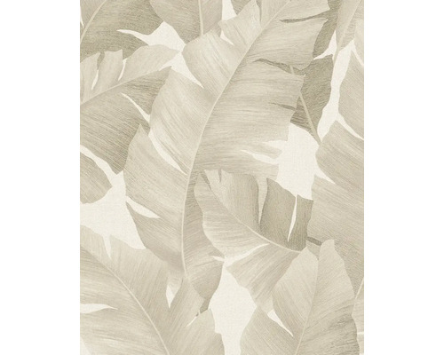 MARBURG Vliesbehang 31625 Avalon abstract beige Behang met bananenbladmotief