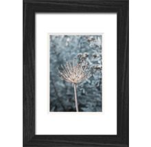 THE WALL Fotolijst hout Lucca zwart 10x15 cm