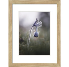 THE WALL Fotolijst hout Lucca bruin 18x24 cm
