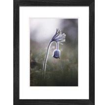 THE WALL Fotolijst hout Lucca zwart 18x24 cm