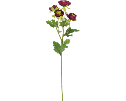 MICA Kunstbloem Boterbloem rood H 62 cm