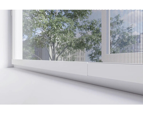 Close-up van een raam met insectenhor