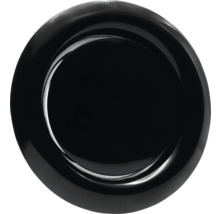 Zwart dinerbord
