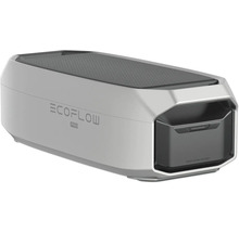 EcoFlow Pro extra batterij