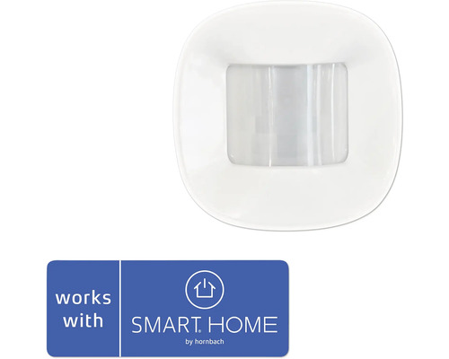 FRIENT Motion sensor 2 PET Bewegingsmelder voor het Smart Home systeem