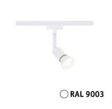 Witte railspot