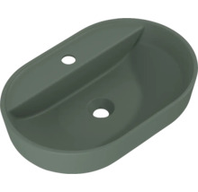 Ovale opzetwastafel met kraangat en overloop