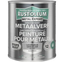 Rust Oleum Metal Expert verfblik voor metaal, direct op roest, lichtgrijs RAL 7035, glans