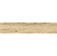 Wand- en vloertegel Firenze dark oak 23x120 cm