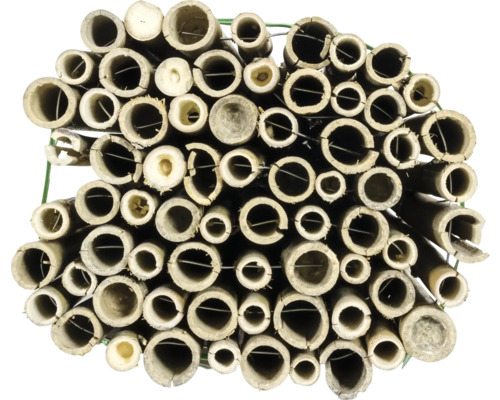 Insectenhotel van bamboe