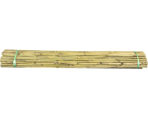 Bundel bamboestokken, samengebonden