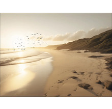 Strandlandschap met zand, golven, vogels en vegetatie
