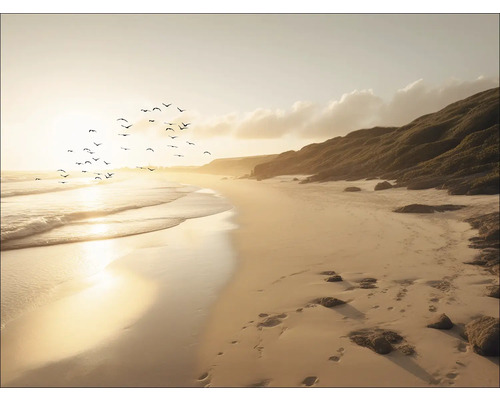 Strandlandschap met zand, golven, vogels en vegetatie