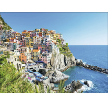 Uitzicht op Manarola, een kustplaats in Italië, met kleurrijke huizen op een klif boven de zee.