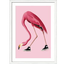 Ingelijste afbeelding van een flamingo met sportschoenen