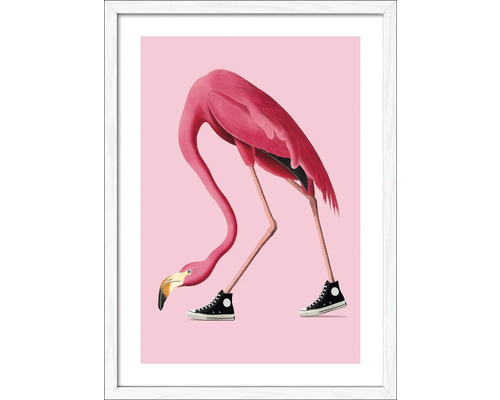 Ingelijste afbeelding van een flamingo met sportschoenen