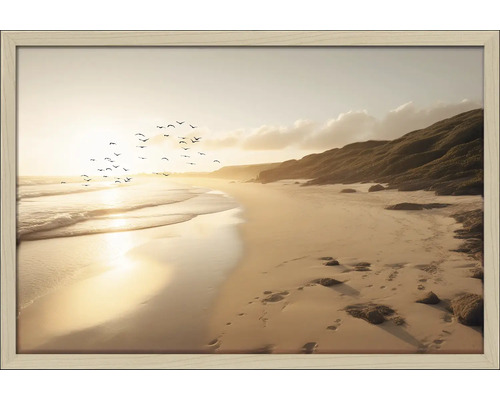 Ingelijste afbeelding van een kustlandschap met strand, zee en zwerm vogels